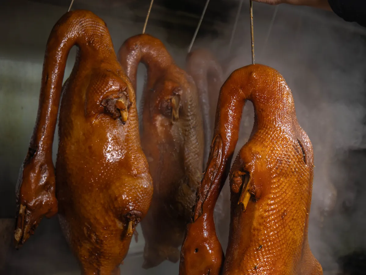 Sliced Chaoshan master-stock braised goose