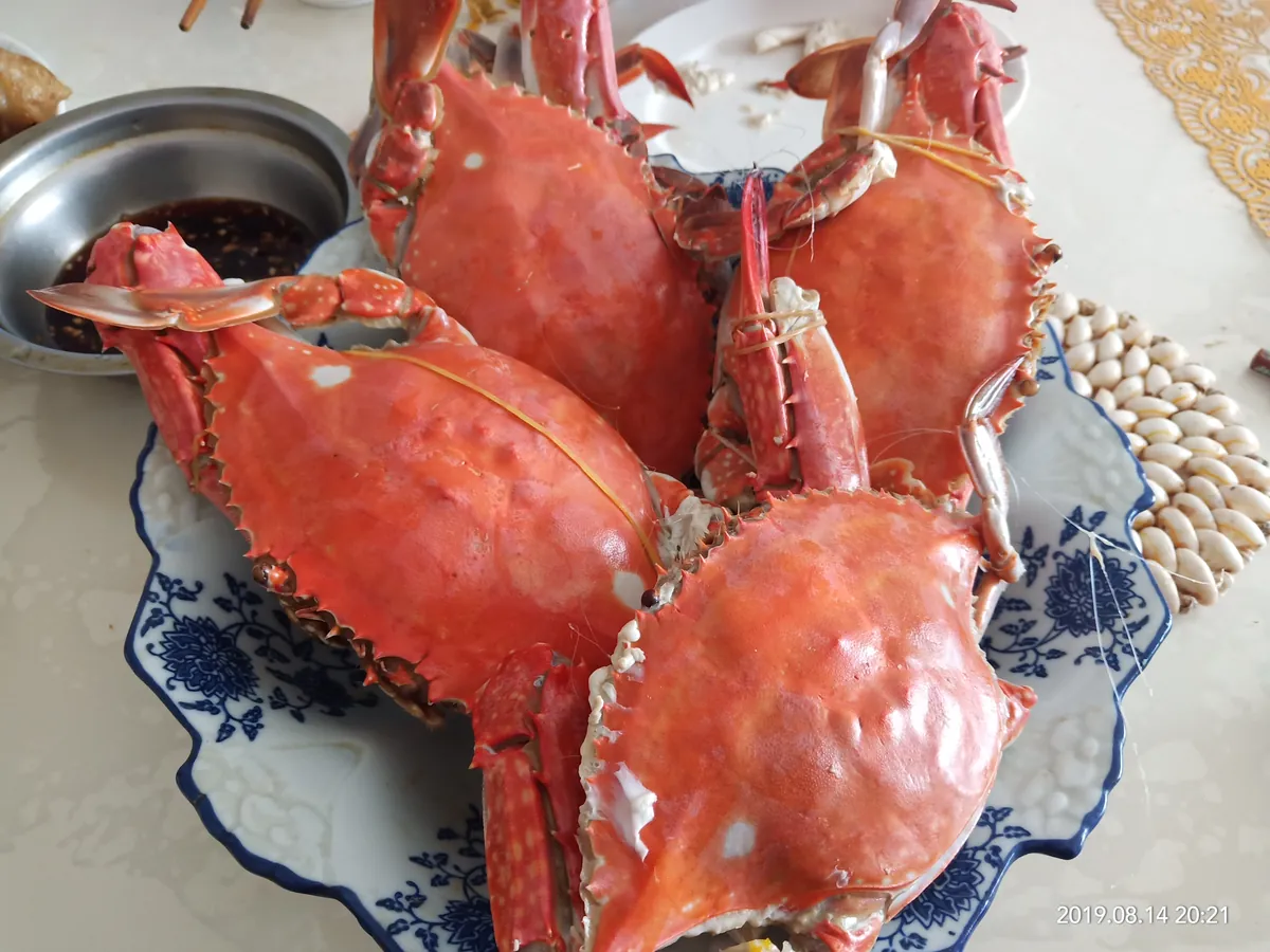大连家宴中的清煮海蟹